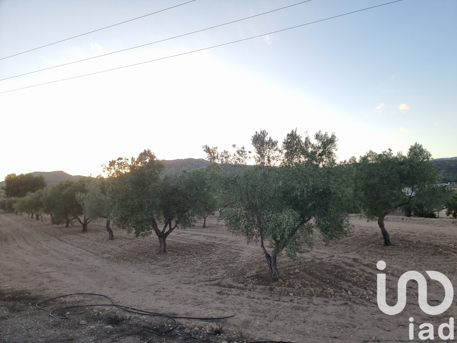 Parcela en Salinas, Alicante, España 18088 m2 No. 185653