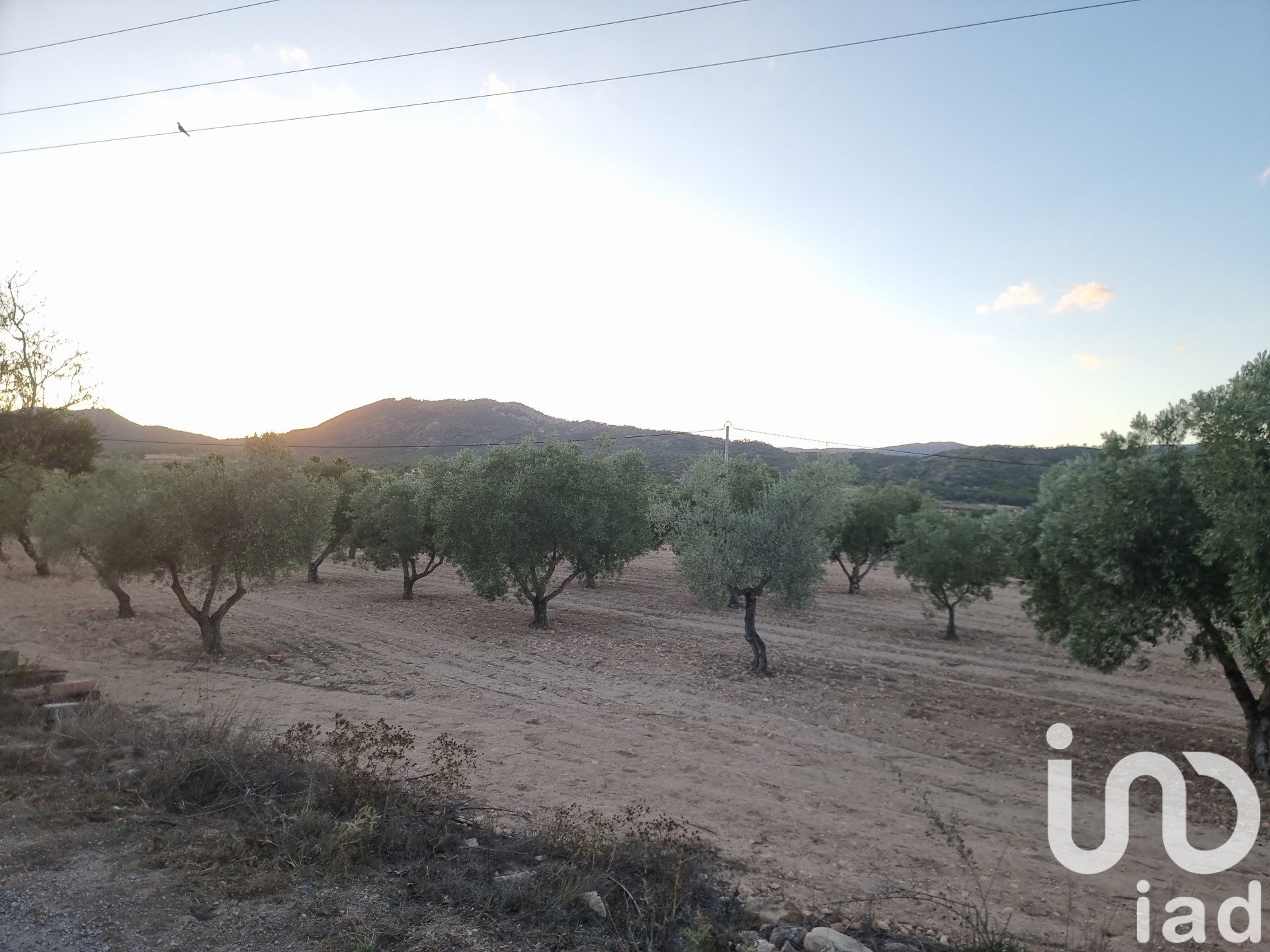 Parcela en Salinas, Alicante, España 18088 m2 No. 185653