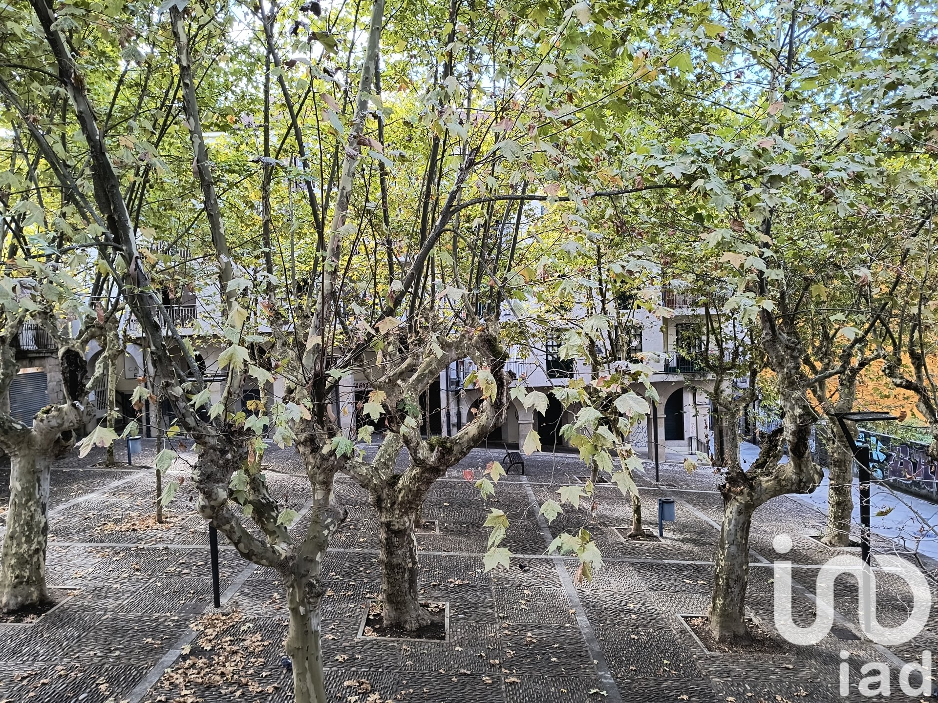 Commercial property à Ourense, Espagne 280 m2 No. 153166