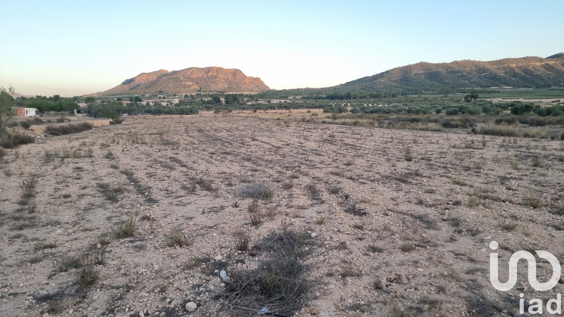 Tontti Salinas, Alicante, Espanja 13753 m2 No. 185664