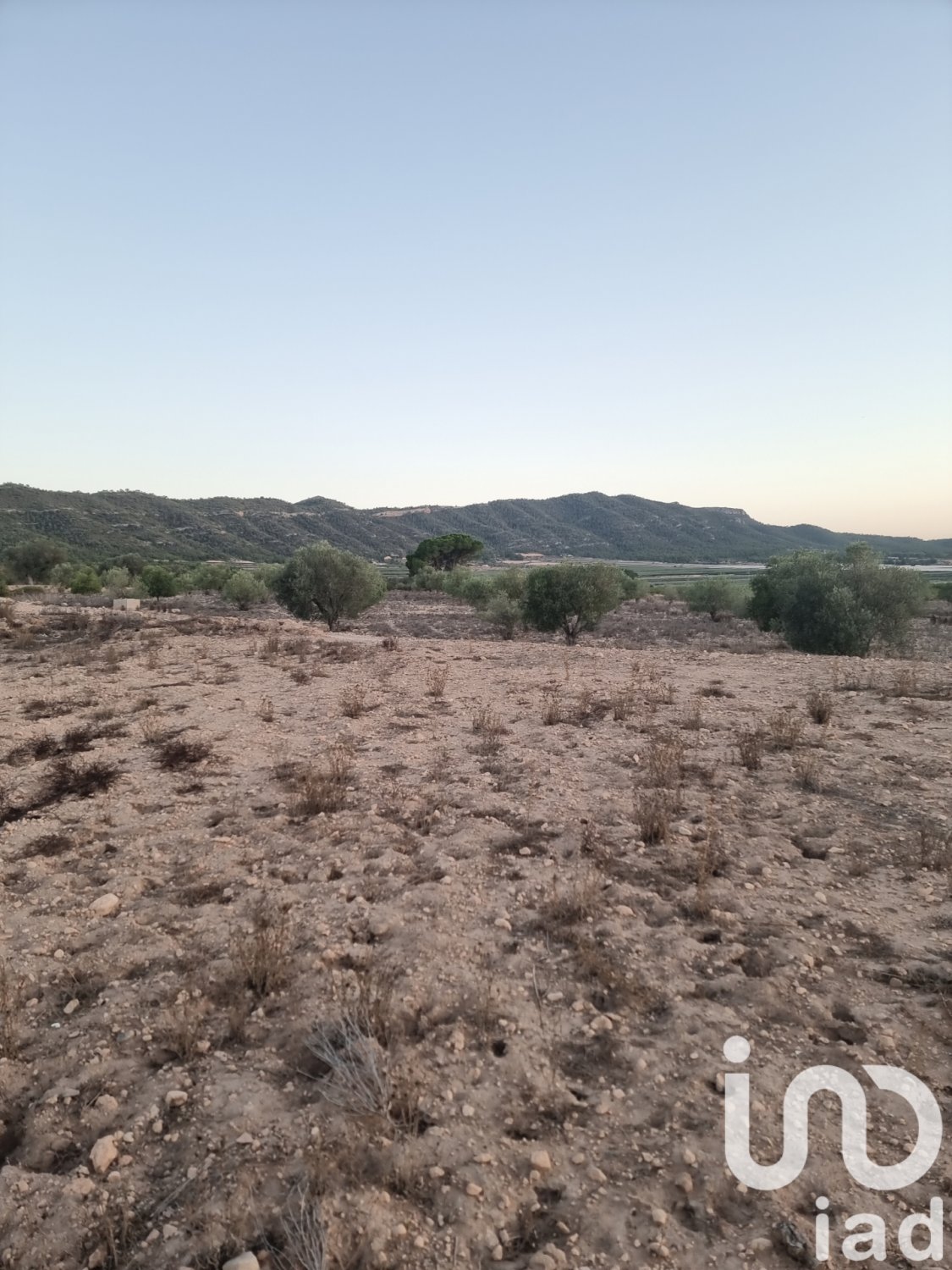 Tontti Salinas, Alicante, Espanja 13753 m2 No. 185664