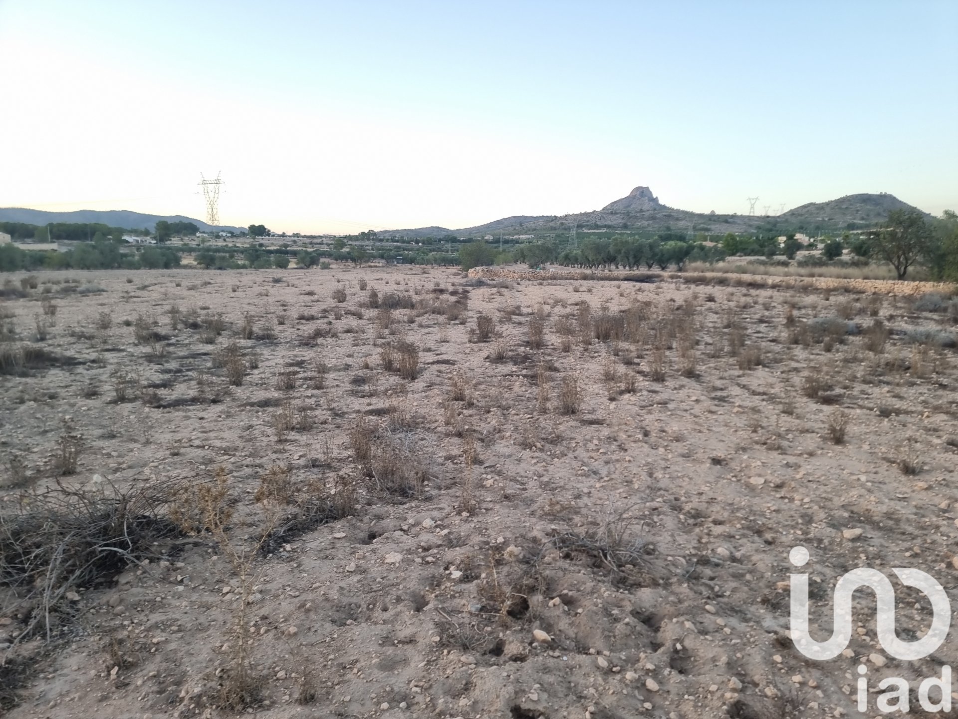 Tontti Salinas, Alicante, Espanja 13753 m2 No. 185664