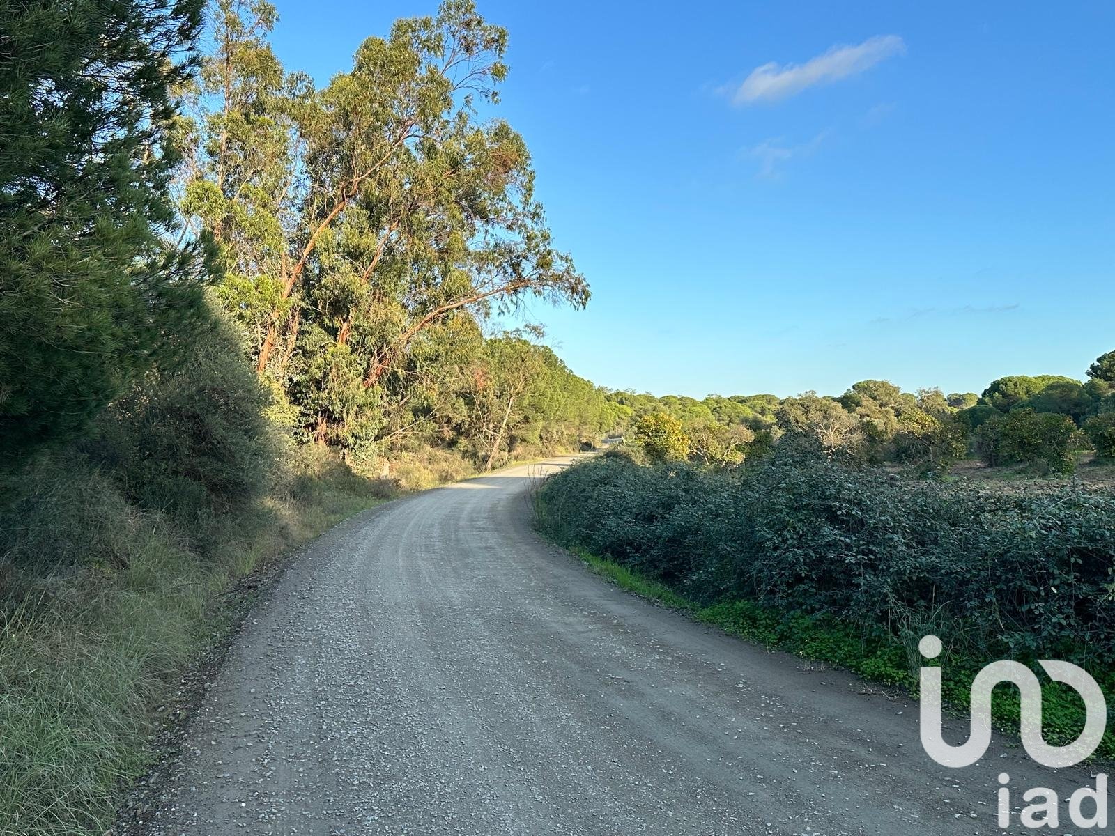 Land in Villablanca, Huelva, Spanien 47440 m2 Nr. 185567
