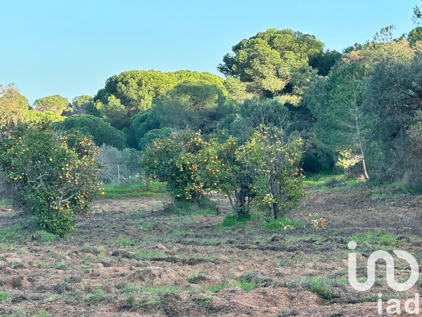 Land in Villablanca, Huelva, Spanien 47440 m2 Nr. 185567