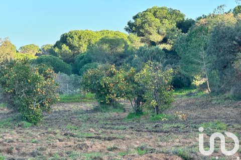 Działka w Villablanca, Huelva, Hiszpania 47440 mkw. nr 185567