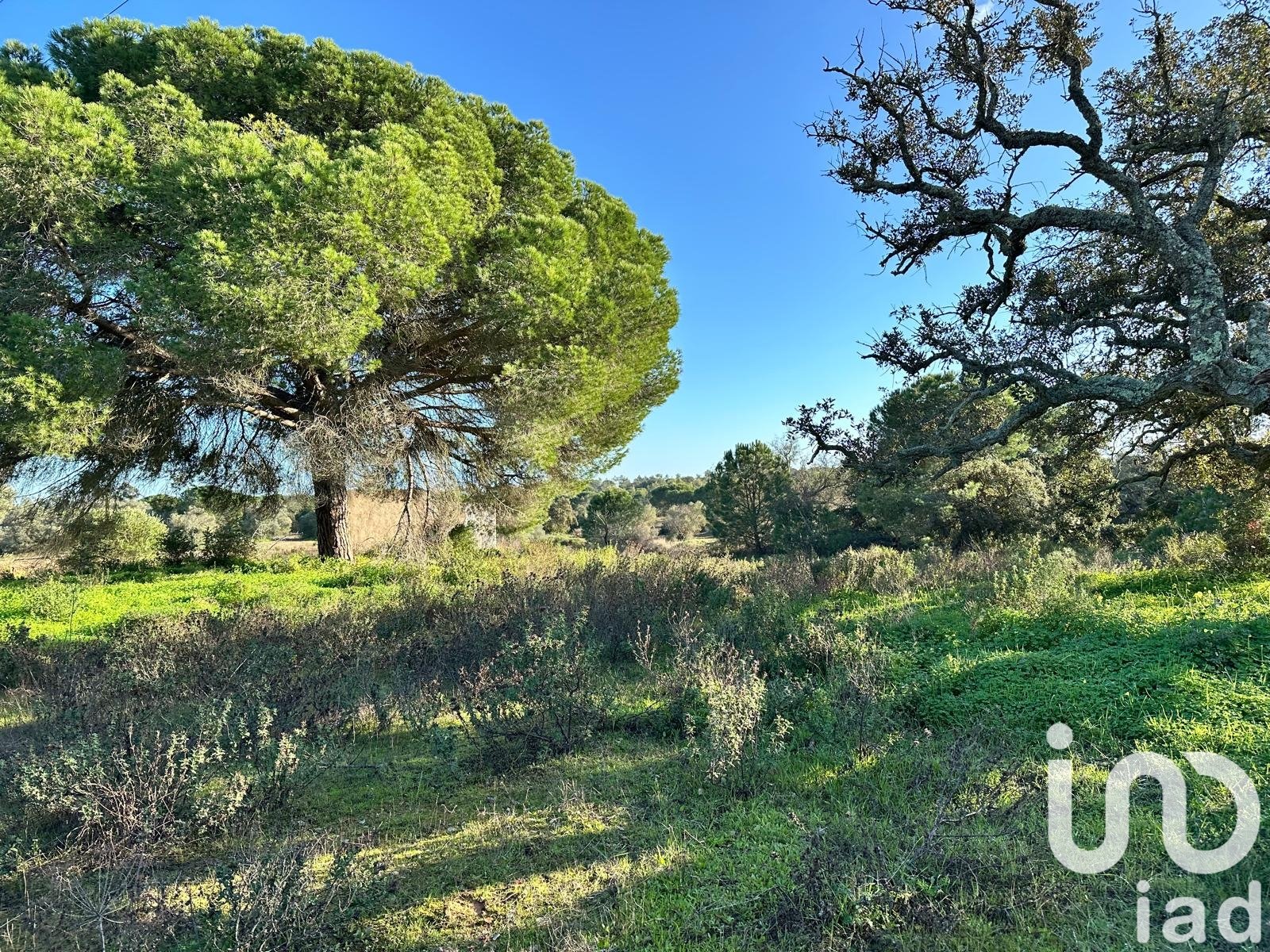Land in Villablanca, Huelva, Spanien 47440 m2 Nr. 185567