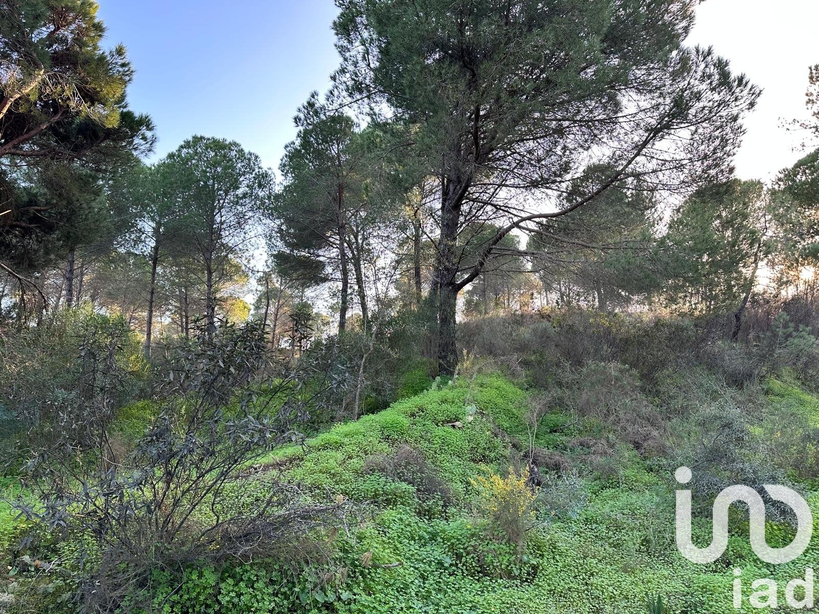 Land in Villablanca, Huelva, Spanien 47440 m2 Nr. 185567
