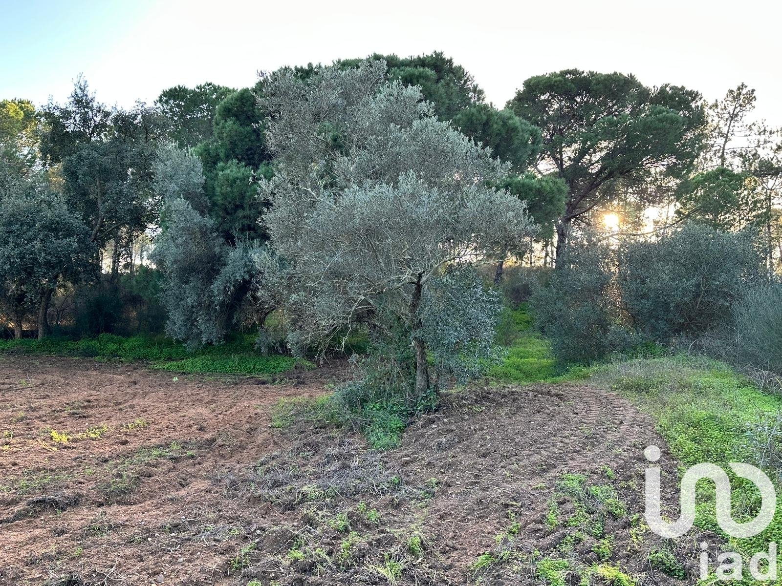 Land in Villablanca, Huelva, Spanien 47440 m2 Nr. 185567