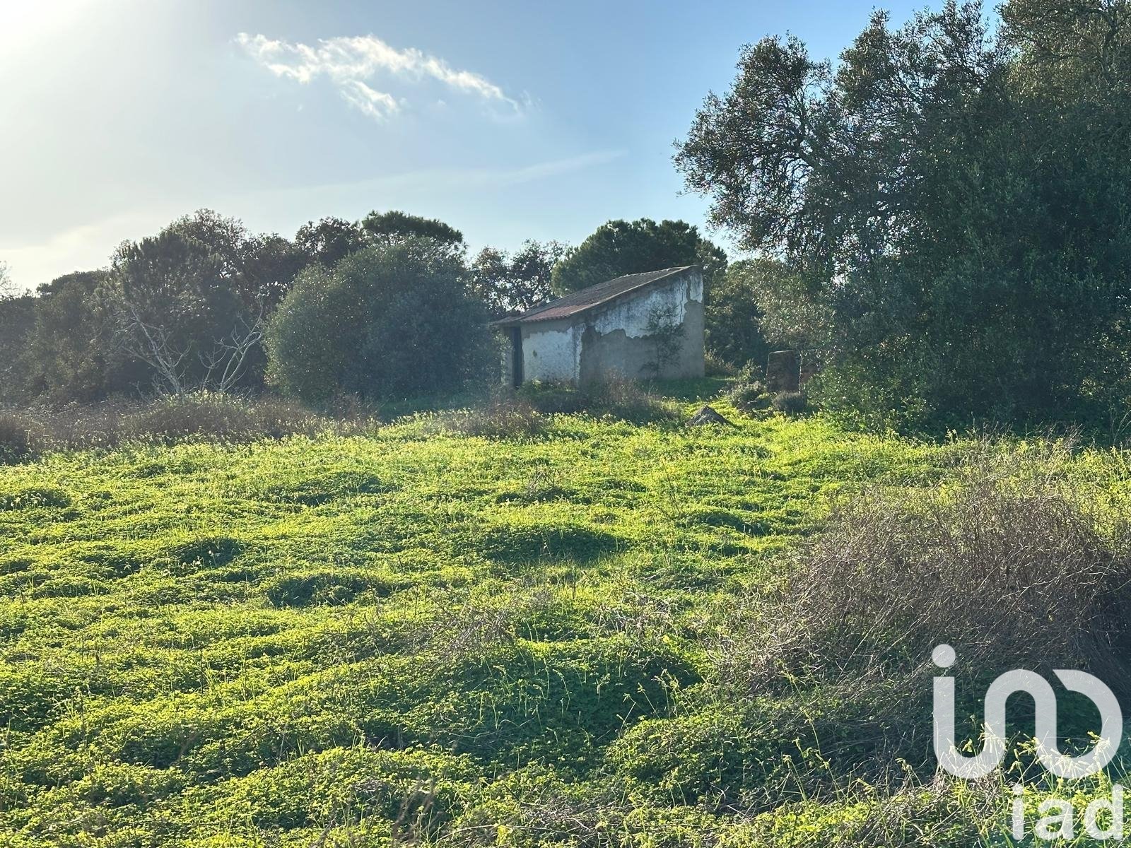 Land in Villablanca, Huelva, Spanien 47440 m2 Nr. 185567