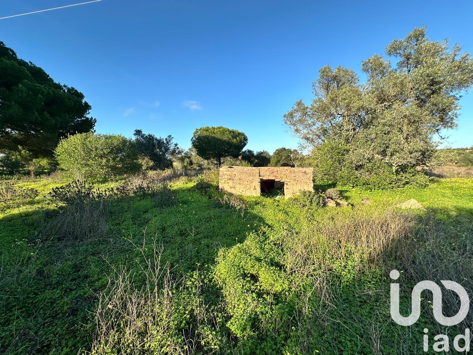 Land in Villablanca, Huelva, Spanien 47440 m2 Nr. 185567