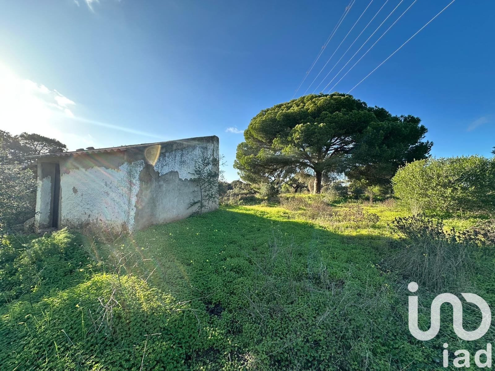 Land in Villablanca, Huelva, Spanien 47440 m2 Nr. 185567