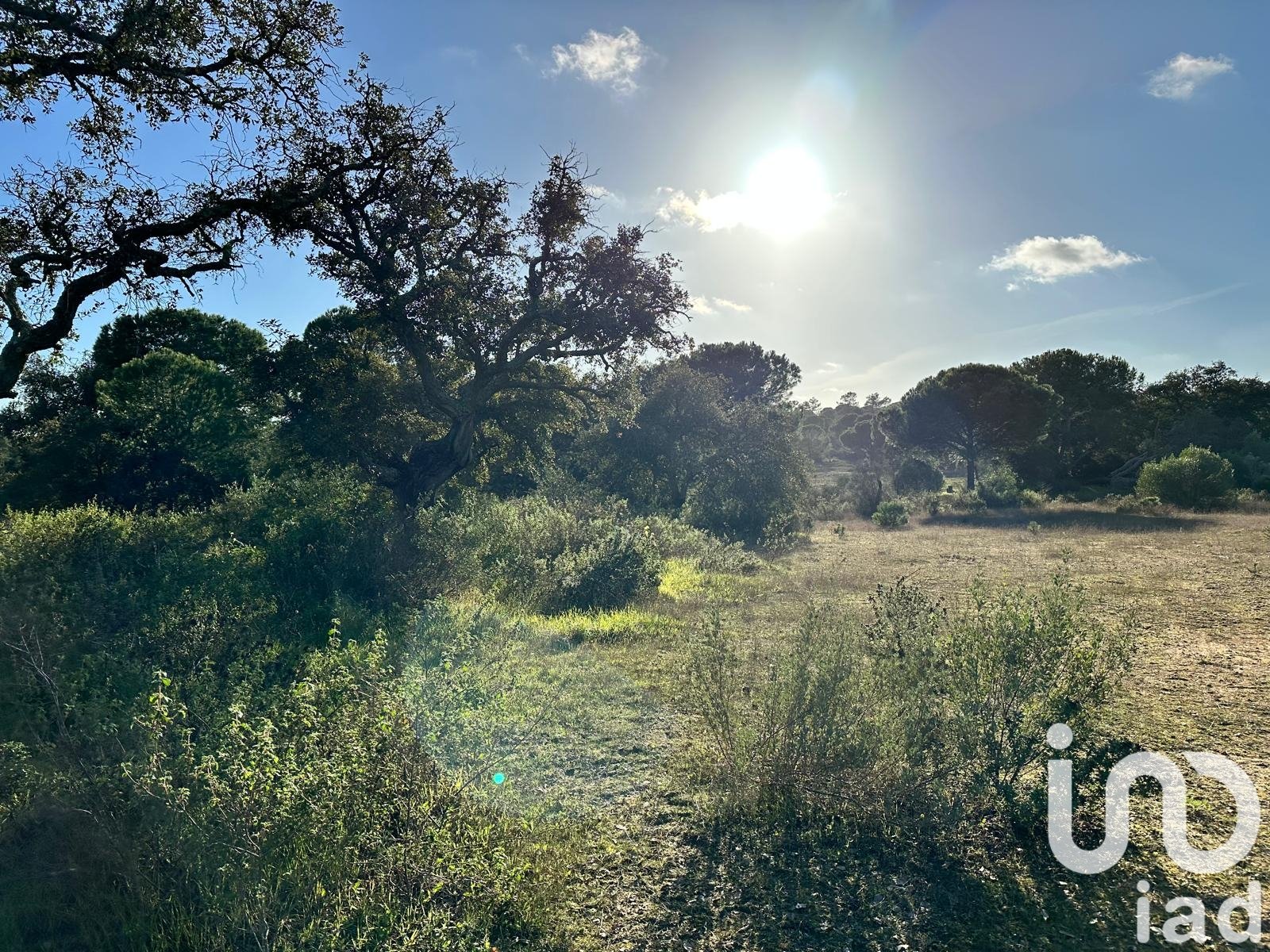 Land in Villablanca, Huelva, Spanien 47440 m2 Nr. 185567