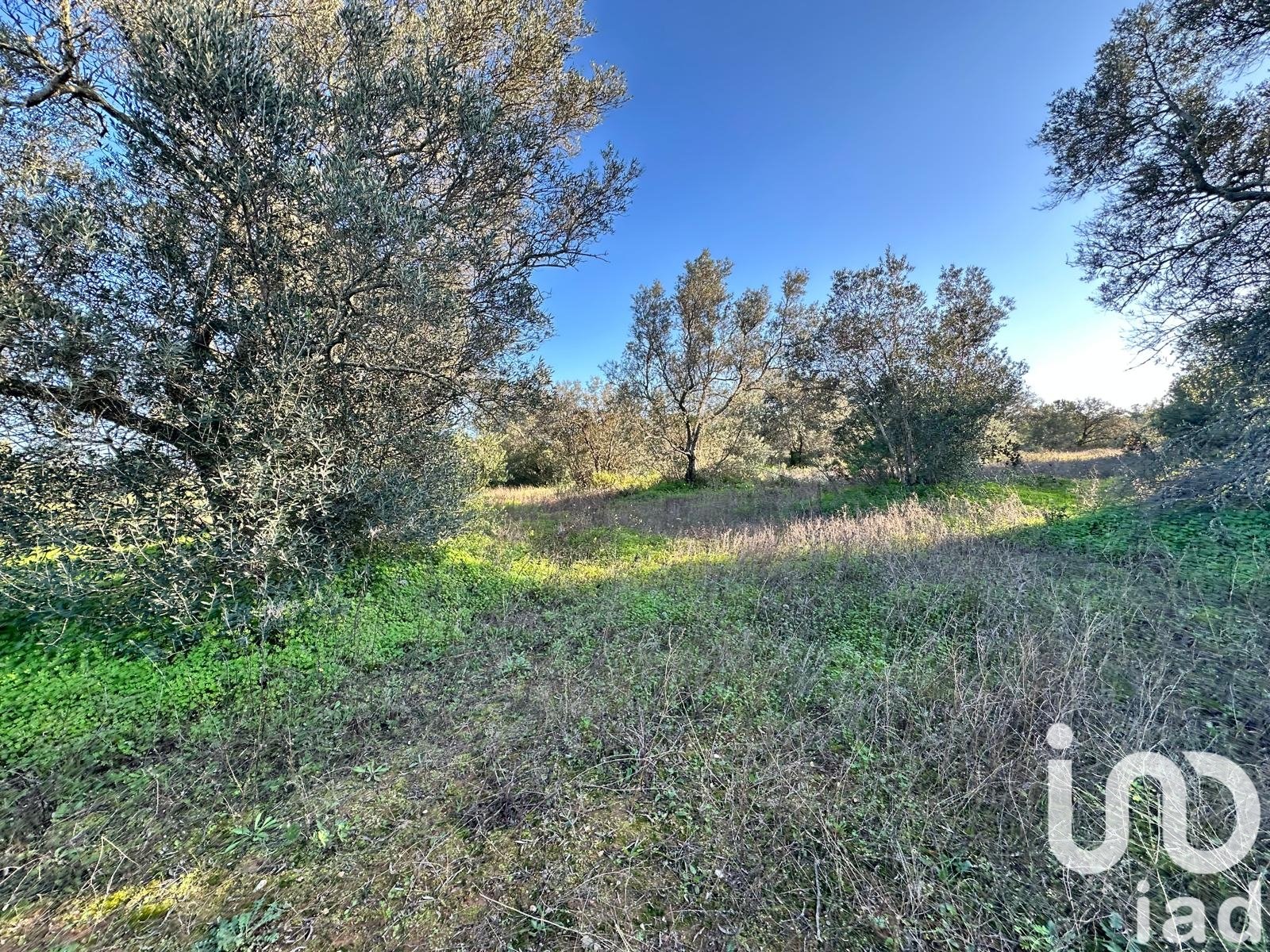 Land in Villablanca, Huelva, Spanien 47440 m2 Nr. 185567