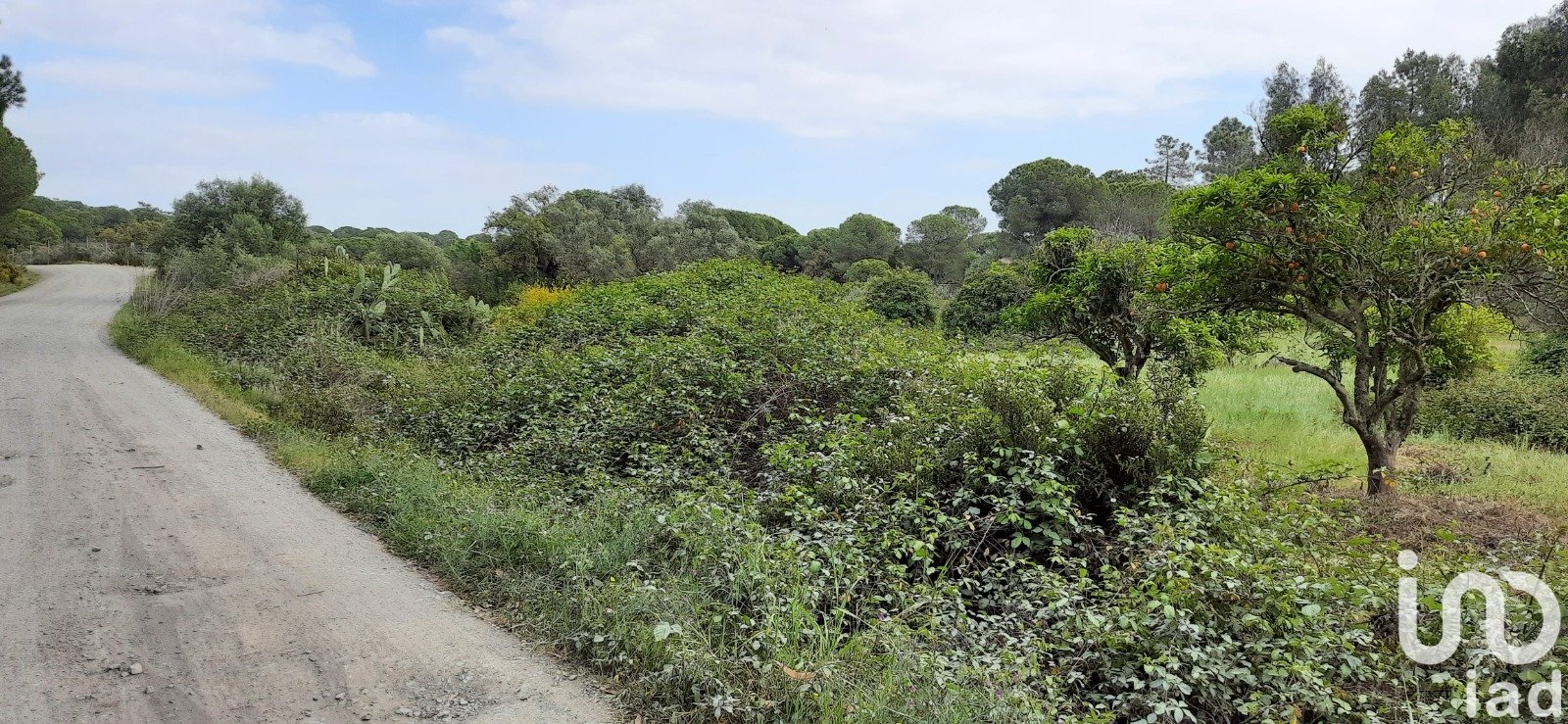 Zemes gabals Villablanca, Huelva, Spānijā 24682 m2 Nr. 185568