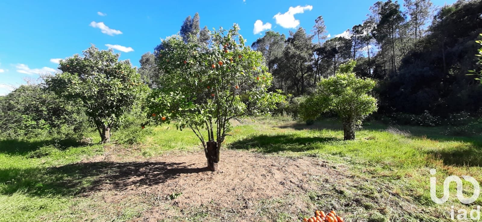 Zemes gabals Villablanca, Huelva, Spānijā 24682 m2 Nr. 185568