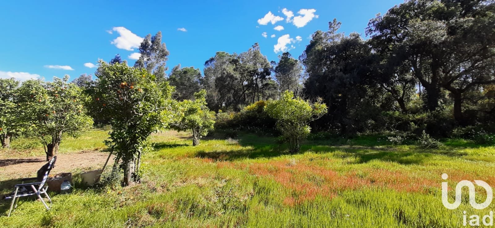 Zemes gabals Villablanca, Huelva, Spānijā 24682 m2 Nr. 185568