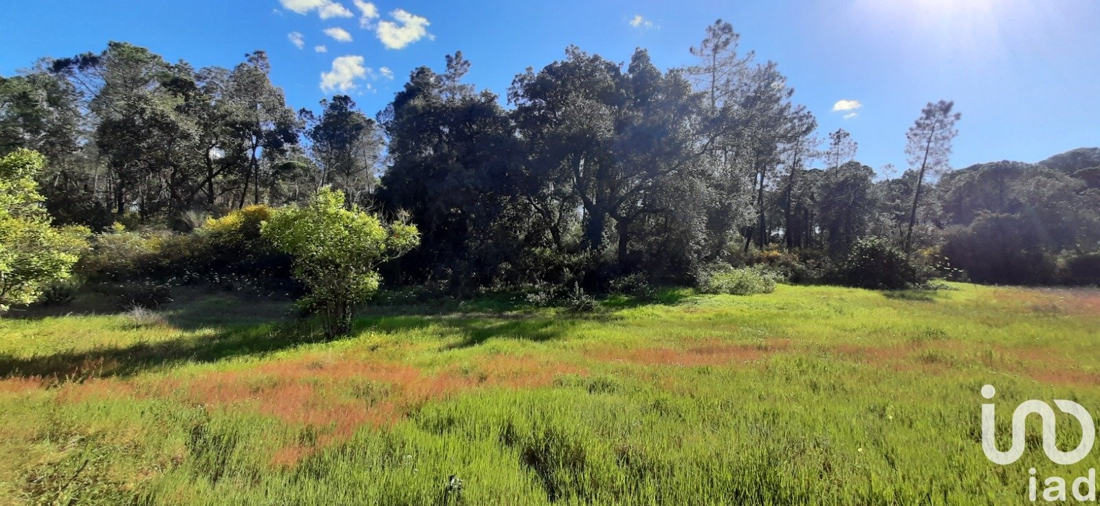 Zemes gabals Villablanca, Huelva, Spānijā 24682 m2 Nr. 185568