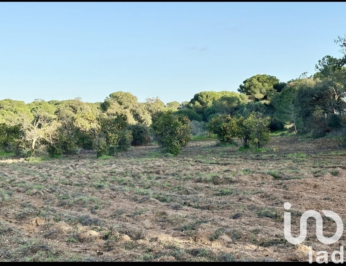 Zemes gabals Villablanca, Huelva, Spānijā 24682 m2 Nr. 185568