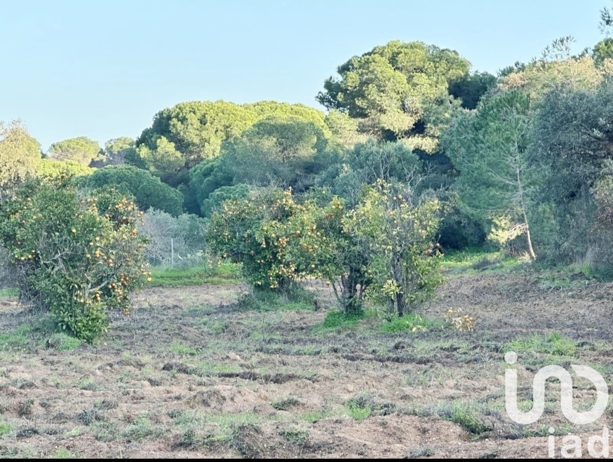 Zemes gabals Villablanca, Huelva, Spānijā 24682 m2 Nr. 185568