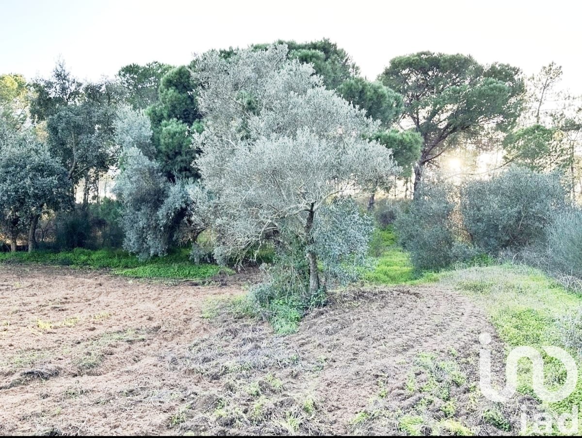 Zemes gabals Villablanca, Huelva, Spānijā 24682 m2 Nr. 185568