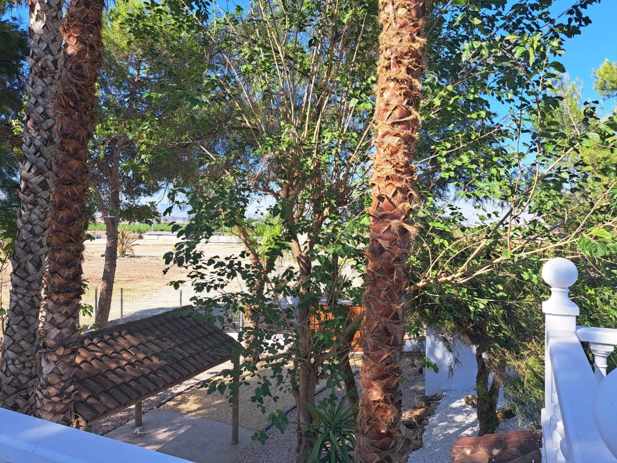 Villa à Orihuela, Alicante, Espagne 5 chambres, 250 m2 No. 102249