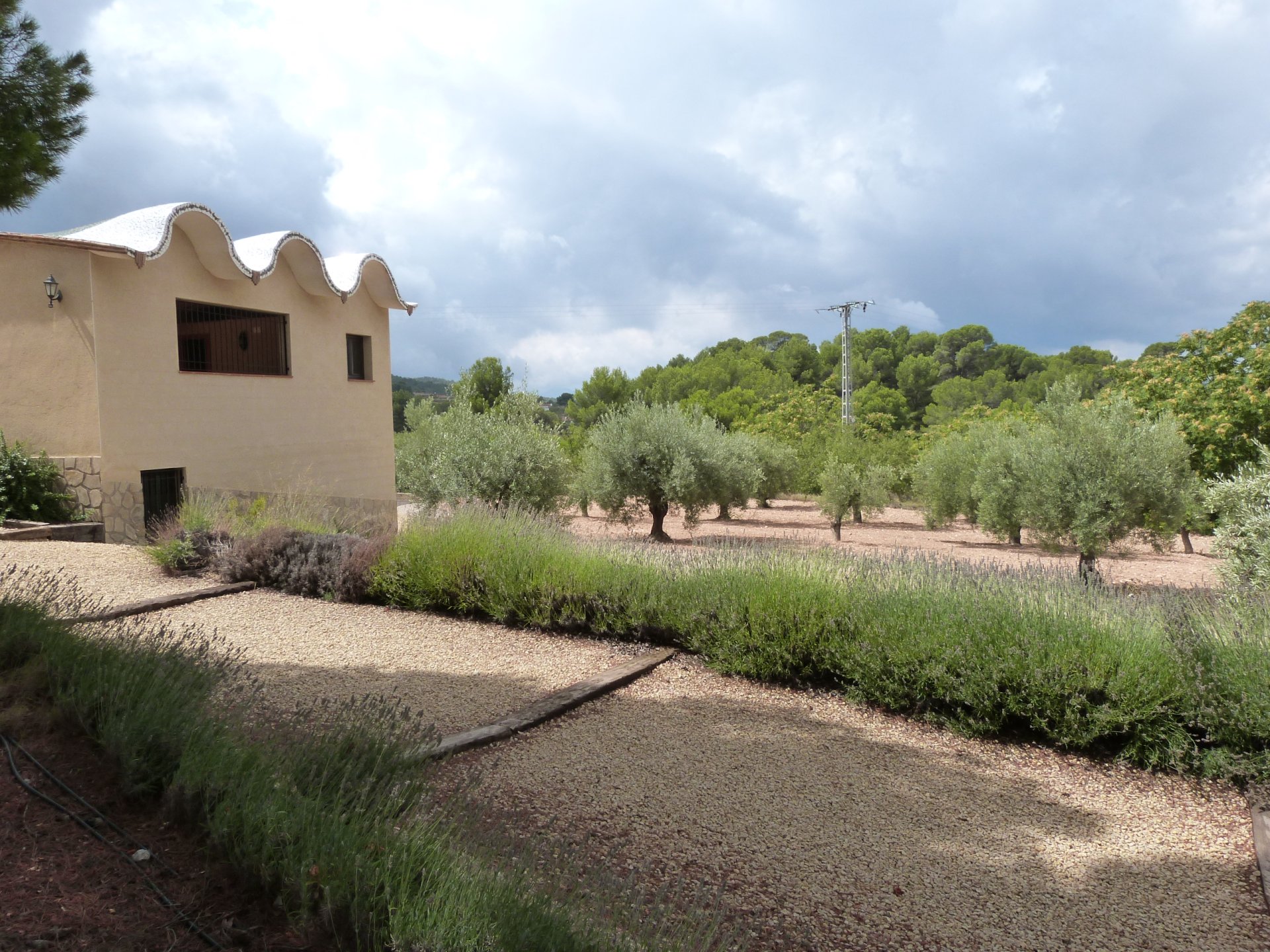 Finca in Ibi, Alicante, Spain 15 bedrooms, 800 sq.m. No. 146564