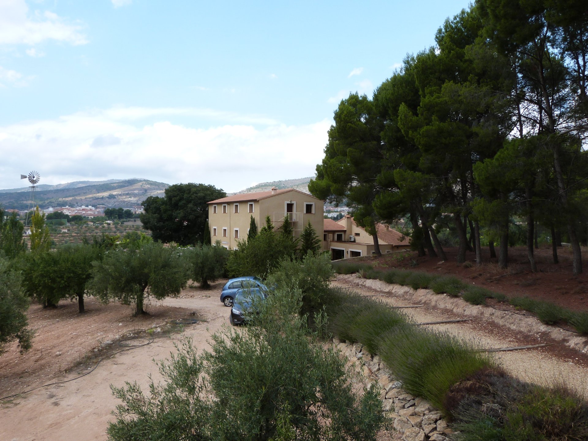 Finca in Ibi, Alicante, Spain 15 bedrooms, 800 sq.m. No. 146564