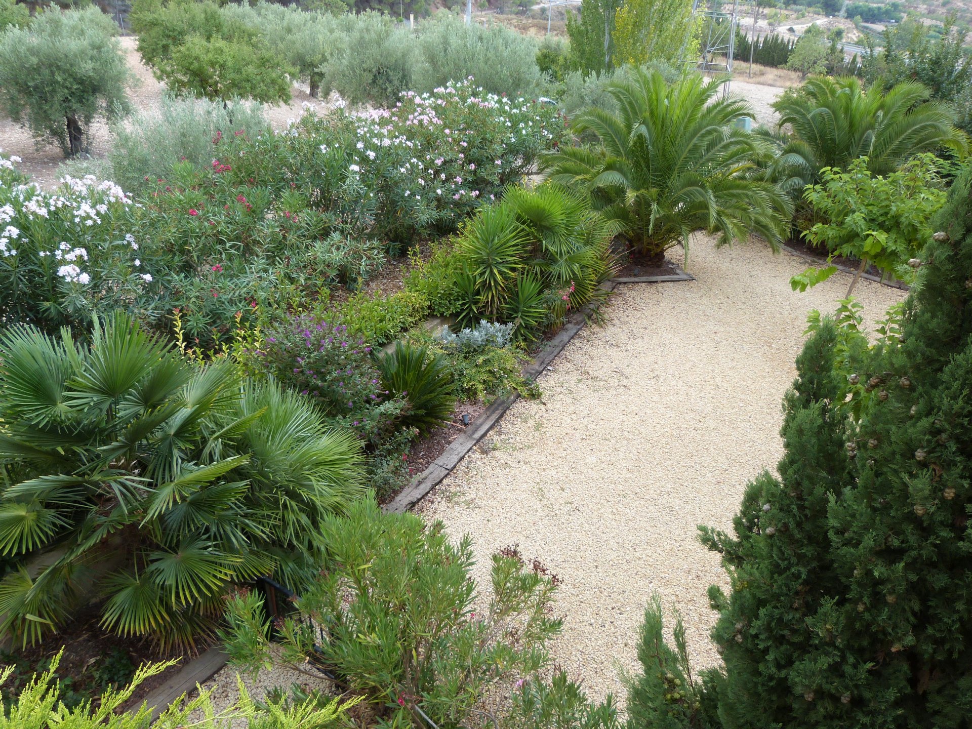 Finca in Ibi, Alicante, Spain 15 bedrooms, 800 sq.m. No. 146564