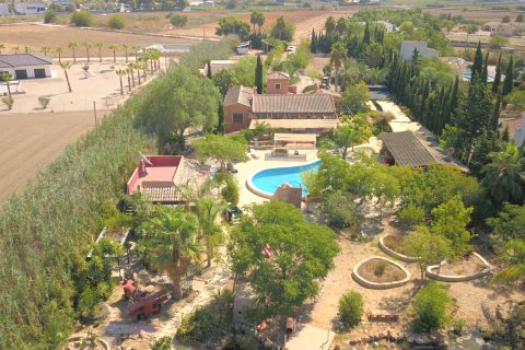 Finca in Catral, Alicante, Spain 7 bedrooms, 396 sq.m. No. 146566