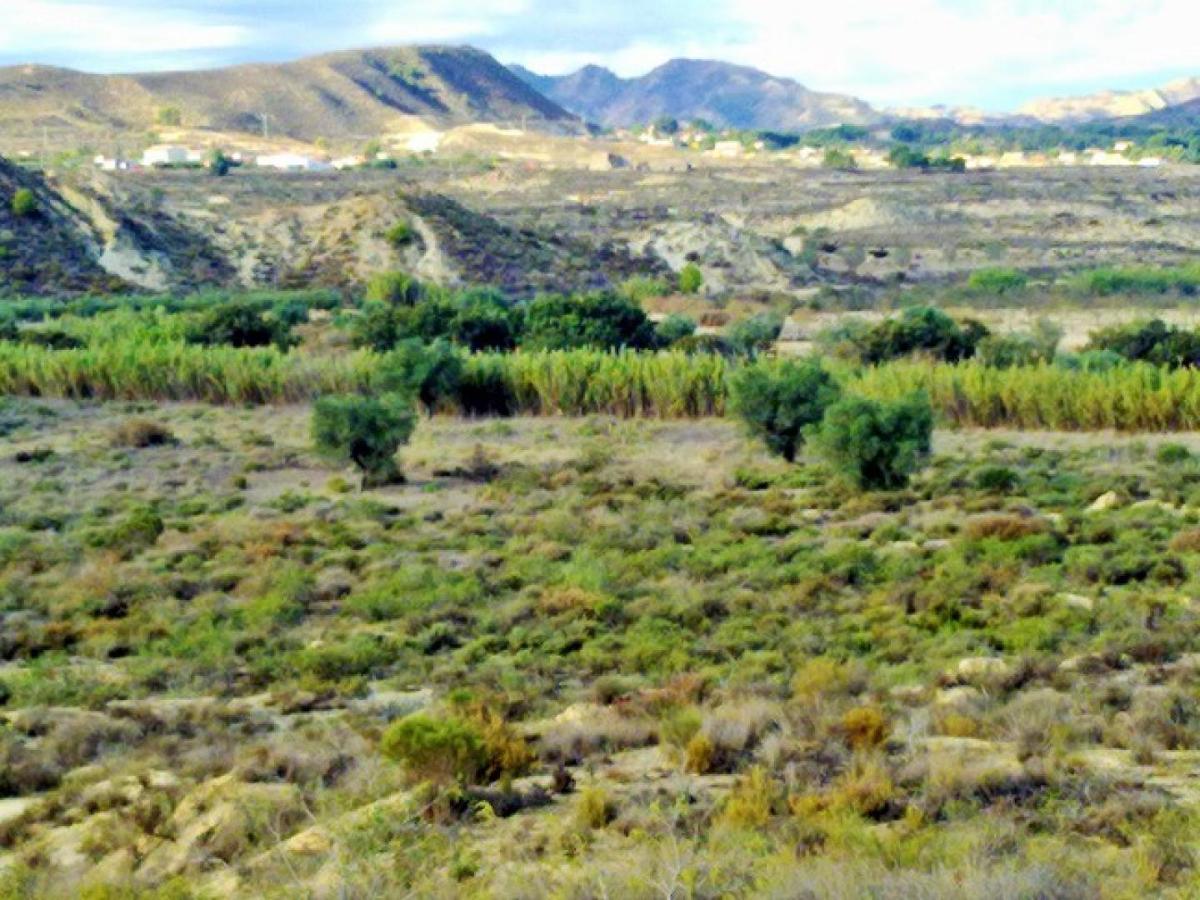 Zemes gabals Torremendo, Alicante, Spānijā Nr. 183885