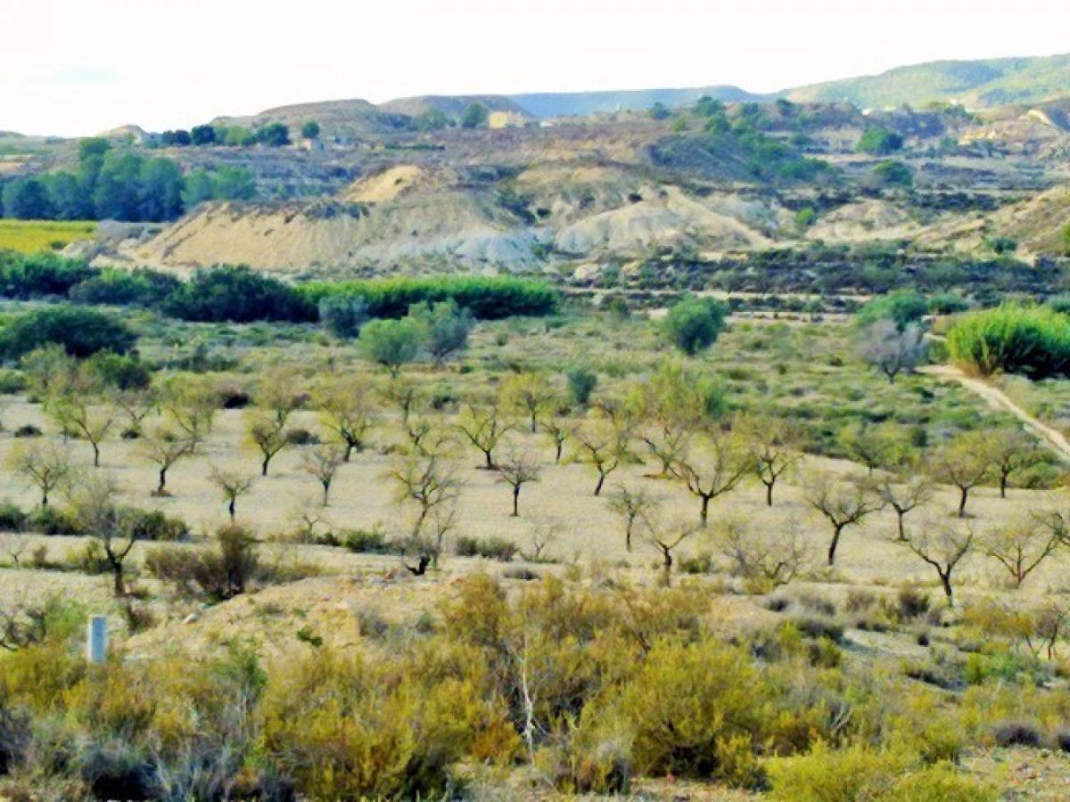 Zemes gabals Torremendo, Alicante, Spānijā Nr. 183885