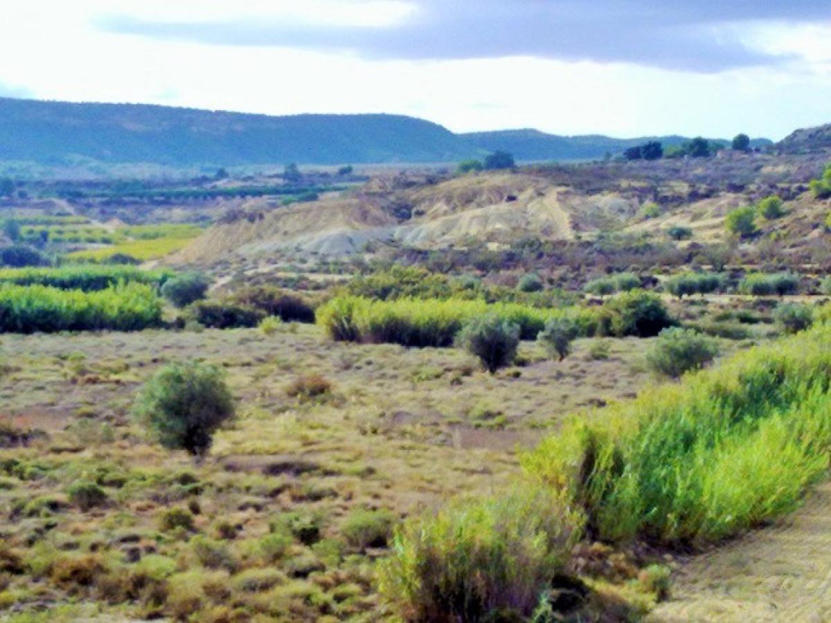 Zemes gabals Torremendo, Alicante, Spānijā Nr. 183885