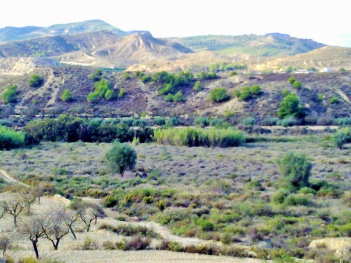 Zemes gabals Torremendo, Alicante, Spānijā Nr. 183885