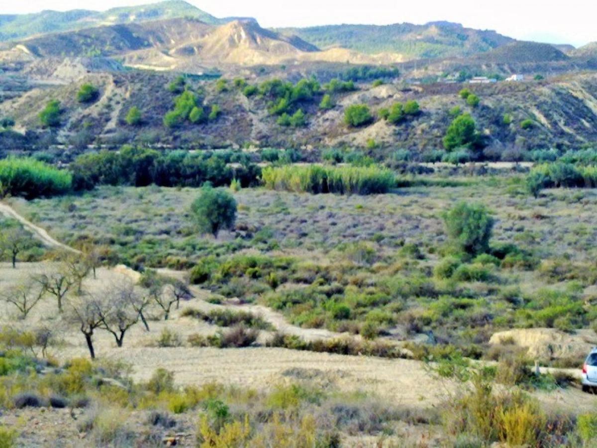 Zemes gabals Torremendo, Alicante, Spānijā Nr. 183885