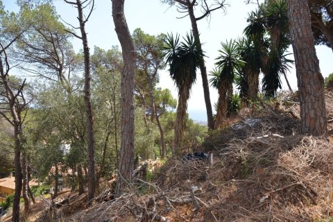 Land in Premia De Dalt, Barcelona, Spanien Nr. 140765