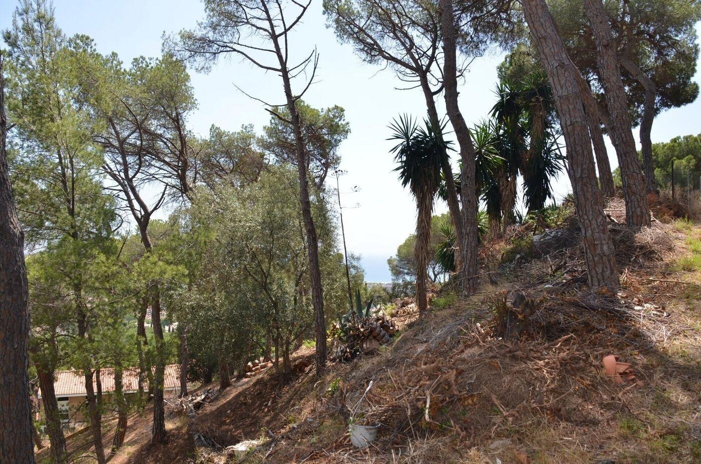 Parcela en Premia De Dalt, Barcelona, España No. 140765