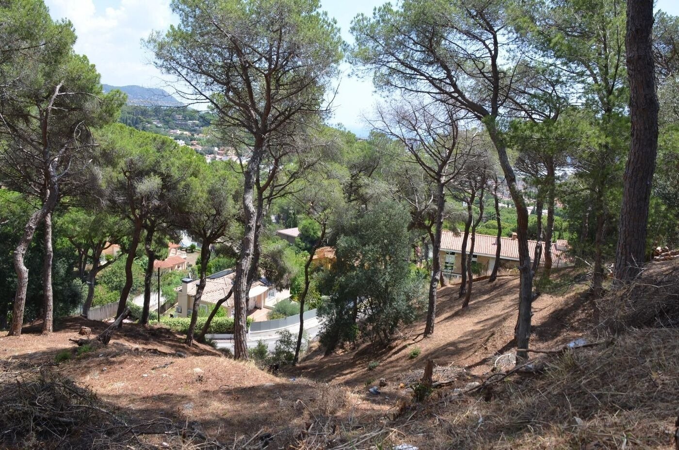 Parcela en Premia De Dalt, Barcelona, España No. 140765