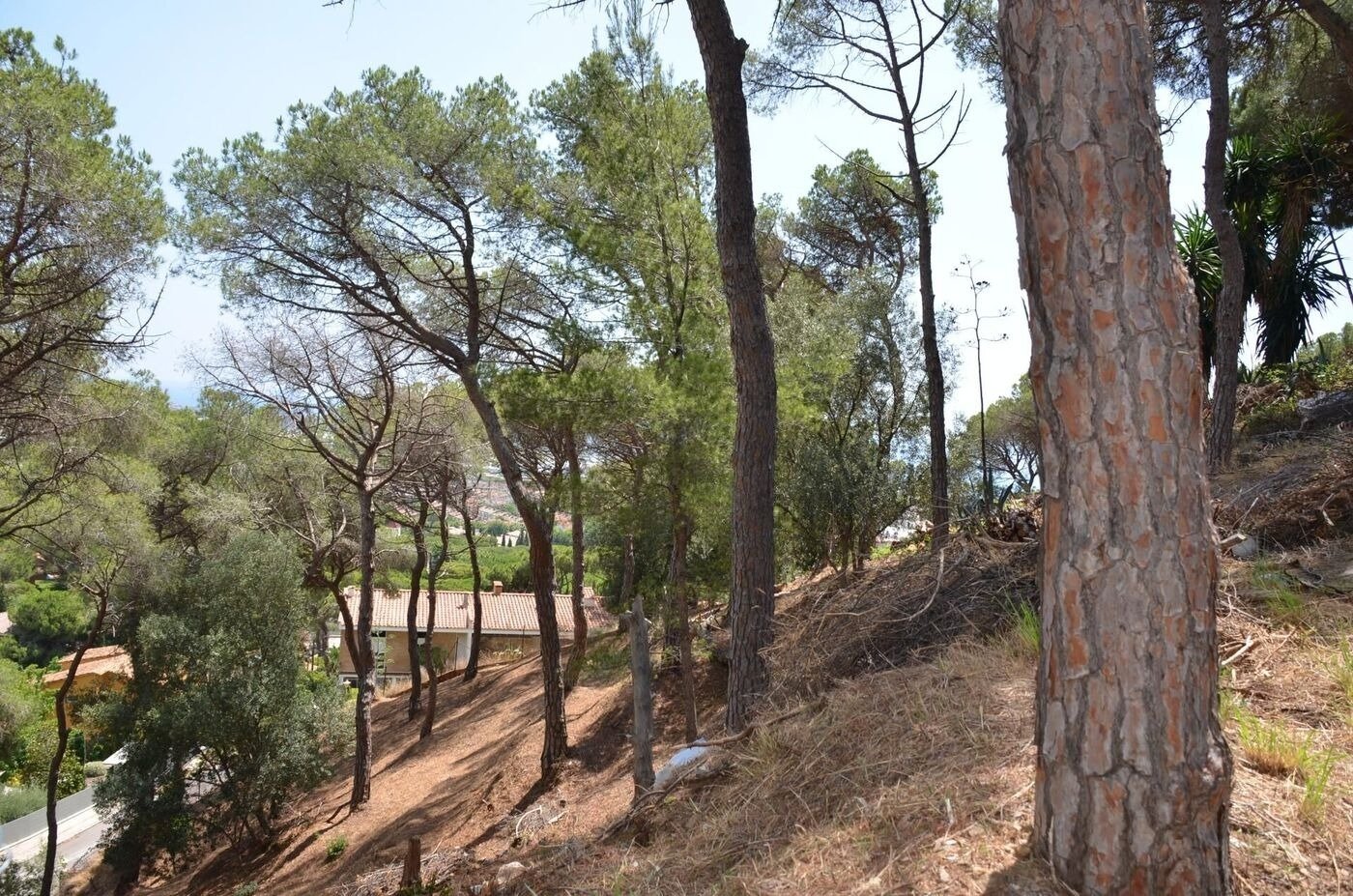 Parcela en Premia De Dalt, Barcelona, España No. 140765