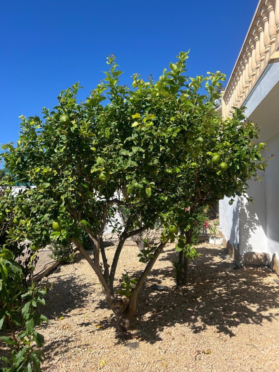 Huvila Moraira, Alicante, Espanja 4 makuuhuonetta, 265 m2 No. 186950