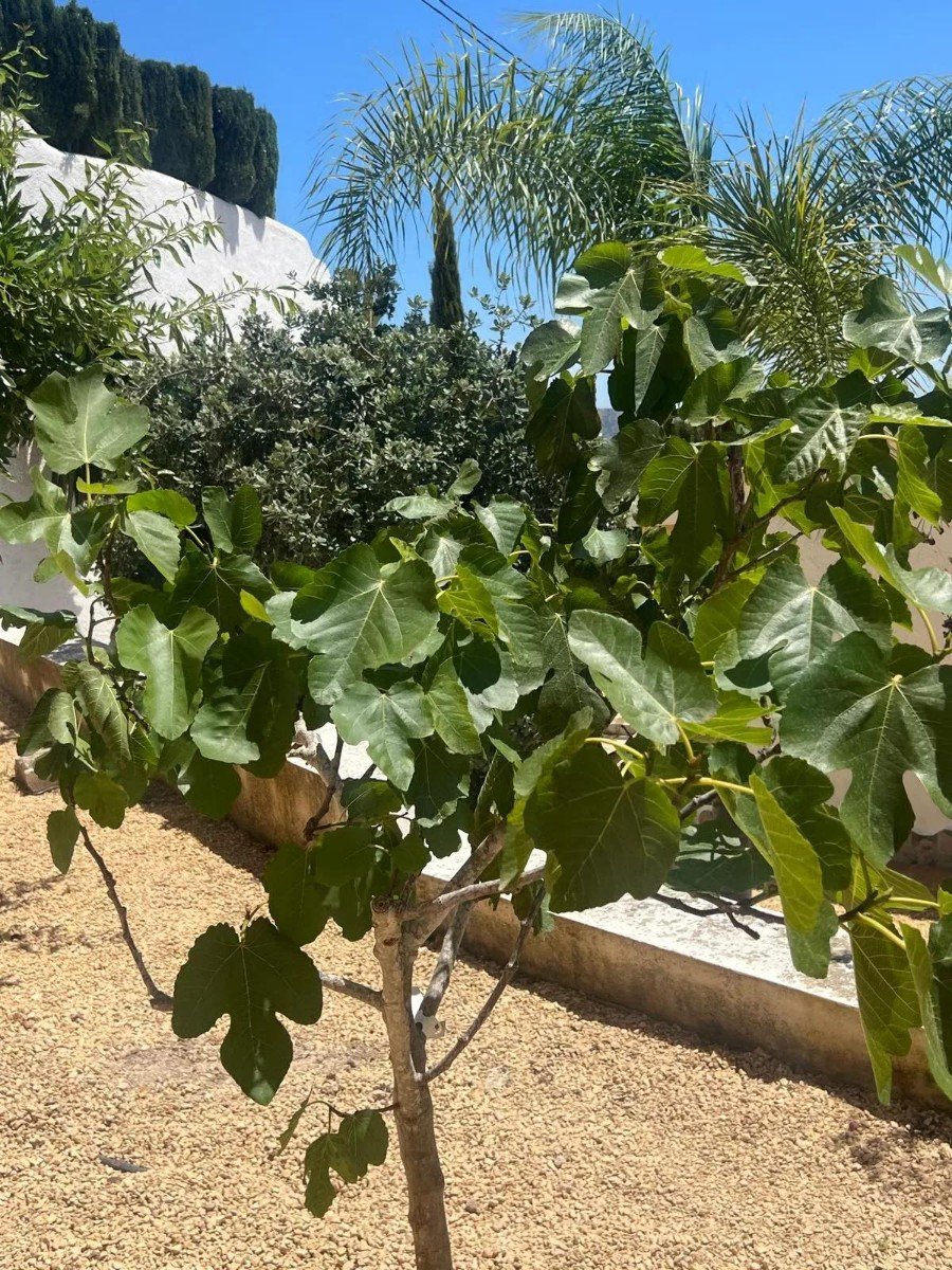 Huvila Moraira, Alicante, Espanja 4 makuuhuonetta, 265 m2 No. 186950