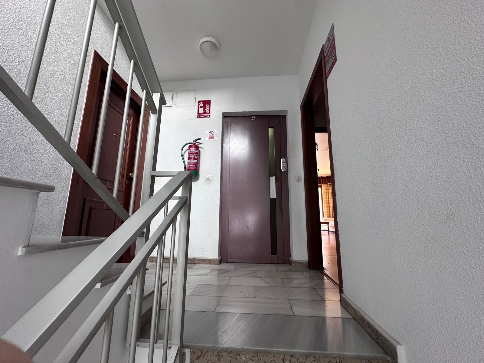 Apartment à Torrevieja, Alicante, Espagne 4 chambres, 120 m2 No. 195452