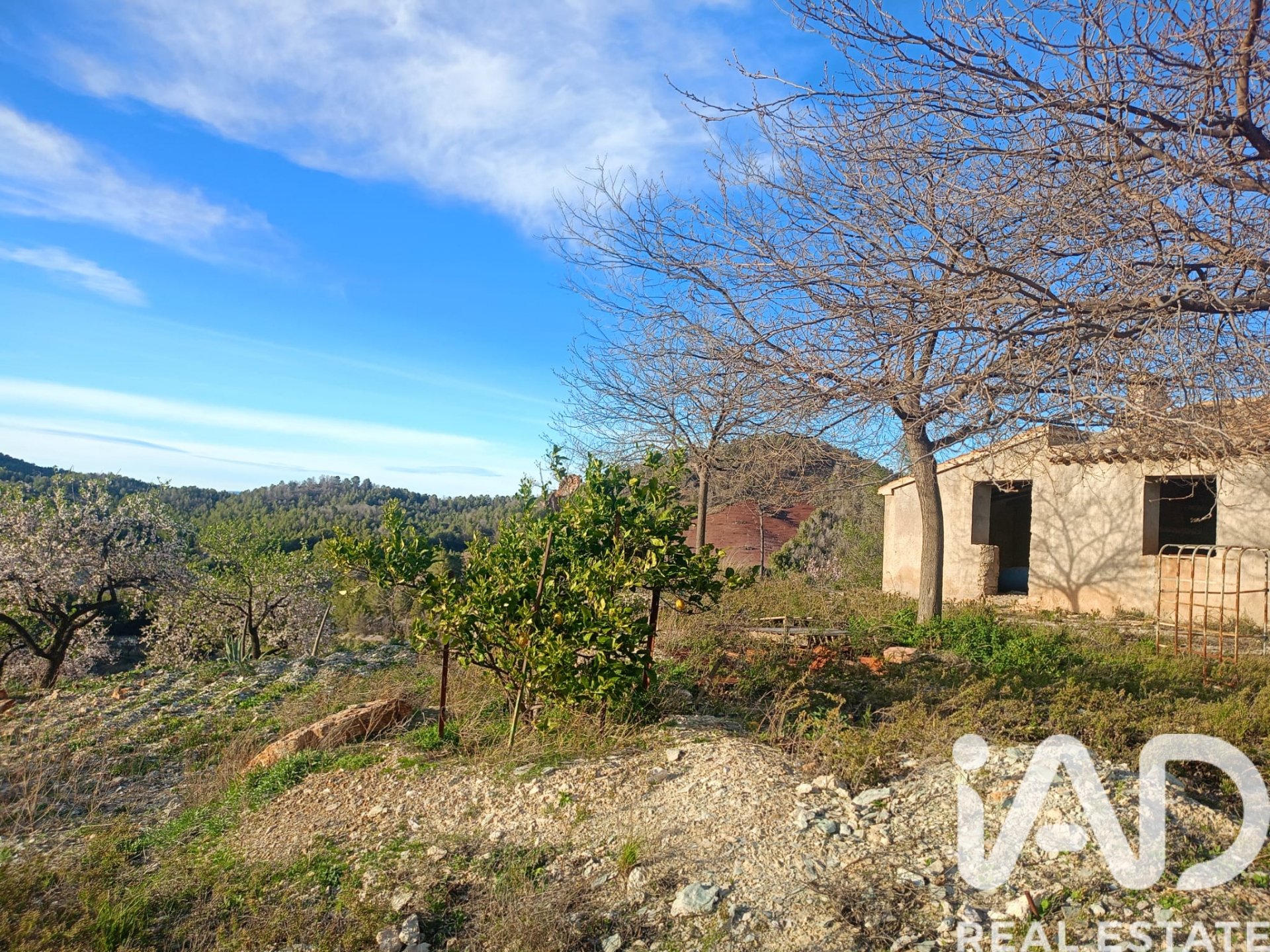 Māja Lorca, Murcia, Spānijā 3 istabas, 103 m2 Nr. 184997