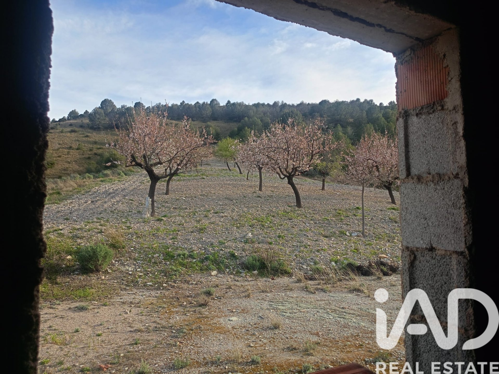 Māja Lorca, Murcia, Spānijā 3 istabas, 103 m2 Nr. 184997