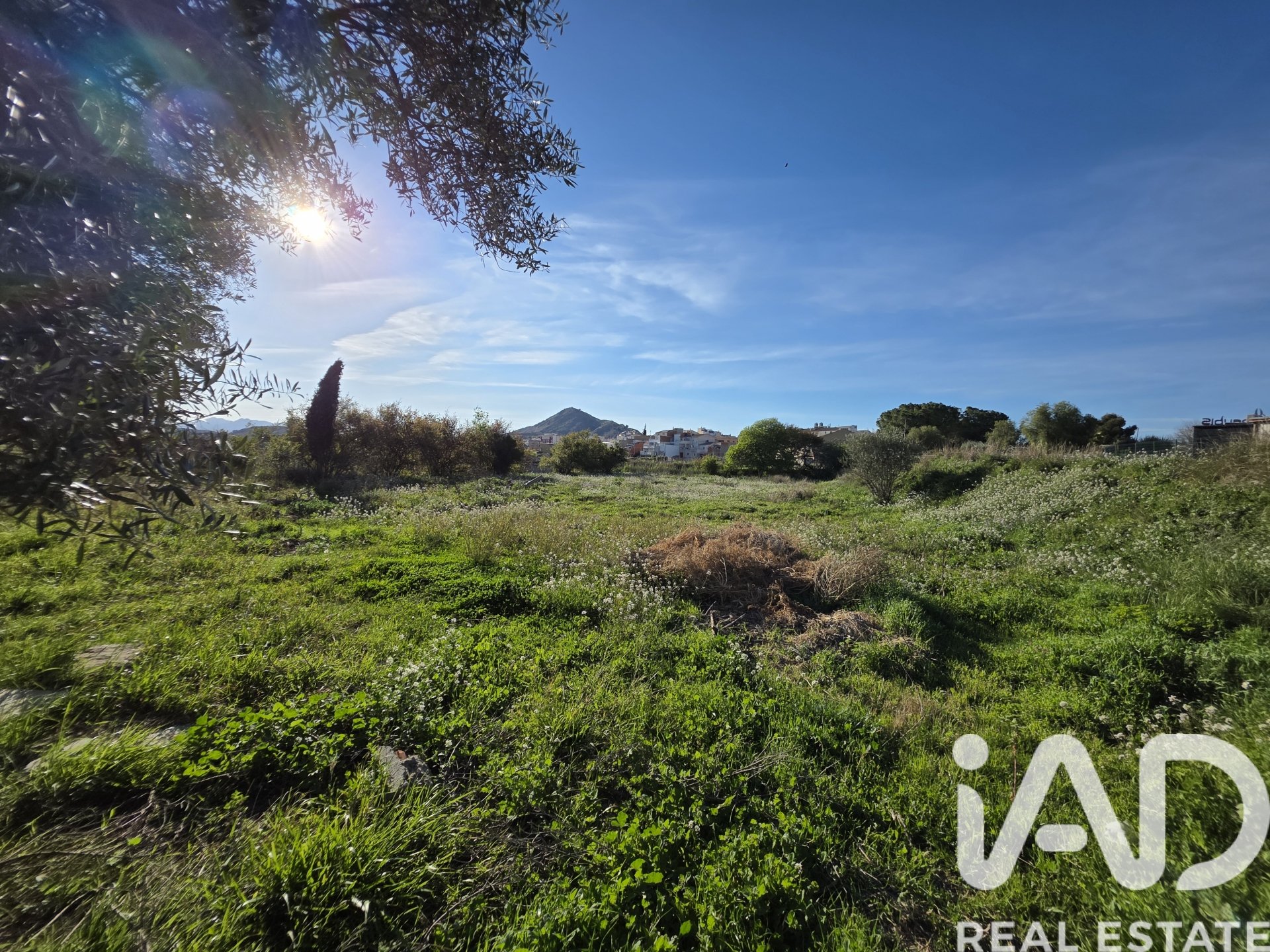 Land plot in Calasparra, Murcia, Spain 2300 sq.m. No. 184995