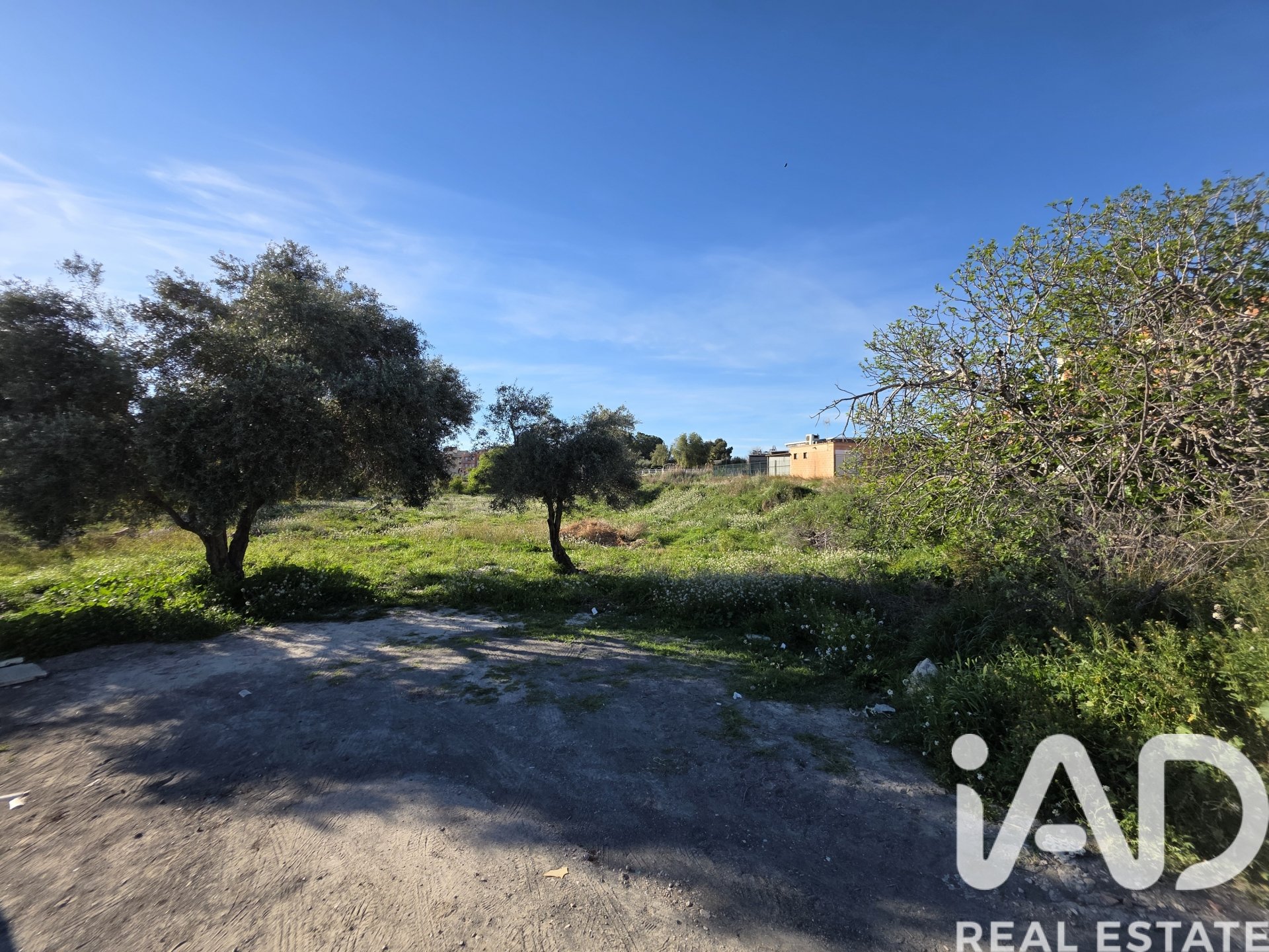 Land plot in Calasparra, Murcia, Spain 2300 sq.m. No. 184995