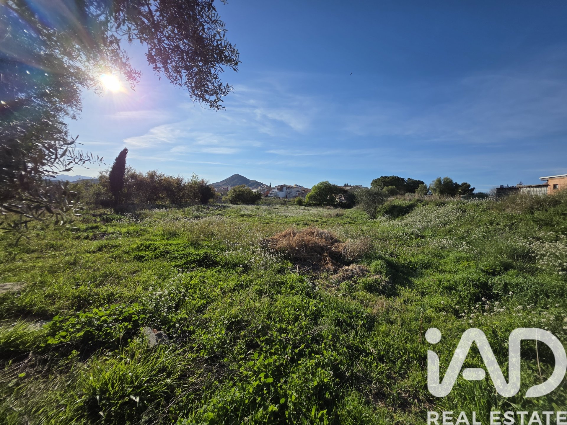 Land plot in Calasparra, Murcia, Spain 2300 sq.m. No. 184995