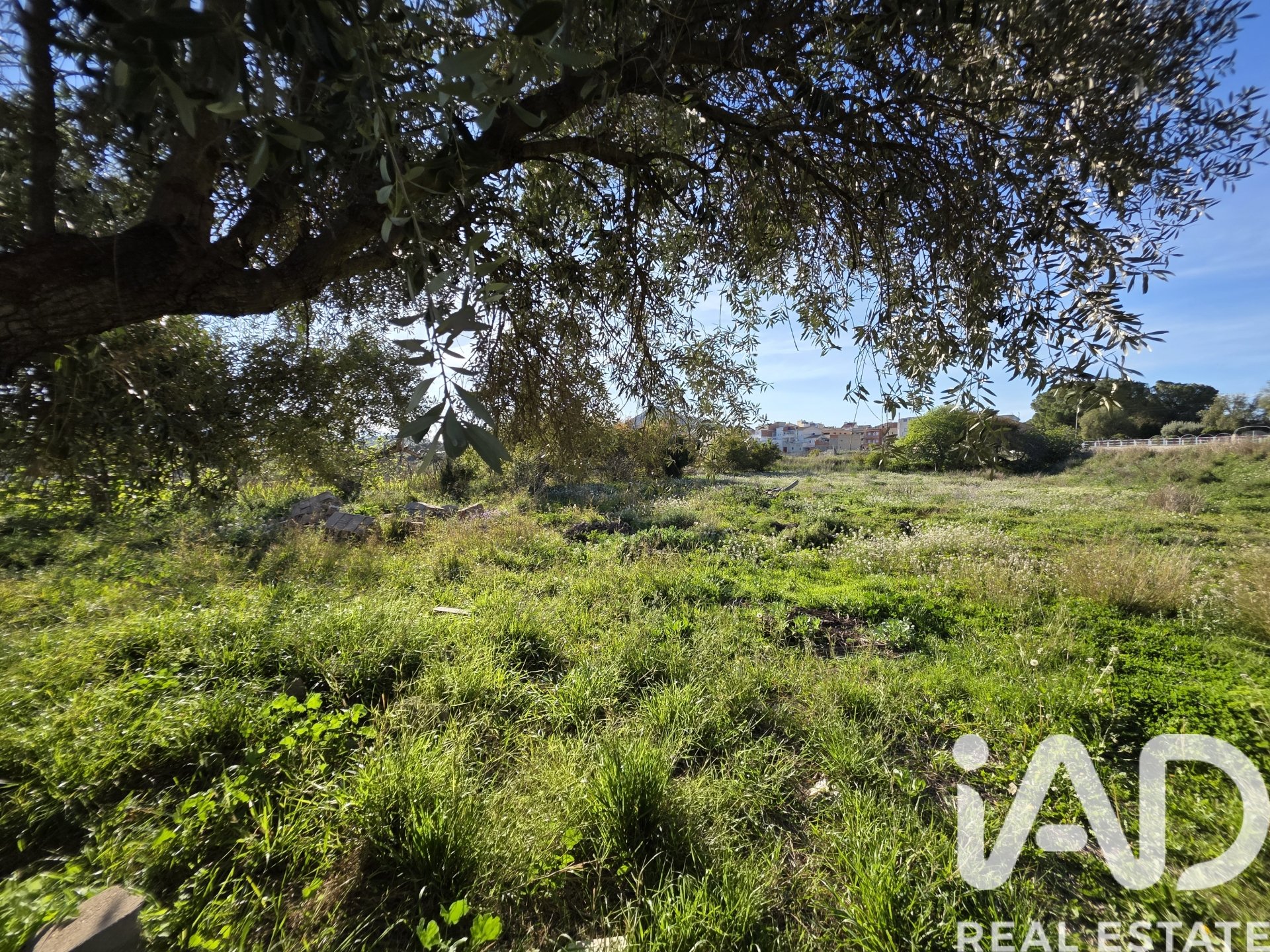 Land plot in Calasparra, Murcia, Spain 2300 sq.m. No. 184995