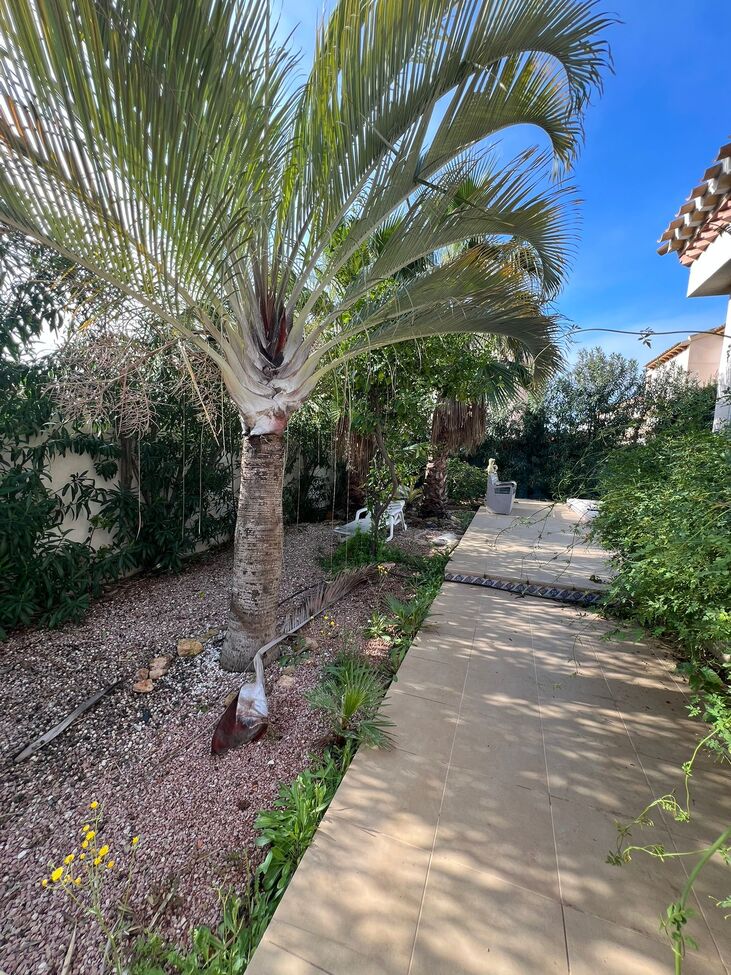 Villa in Playa Flamenca II, Alicante, Spanien 3 Schlafzimmer, 130 m2 Nr. 160966