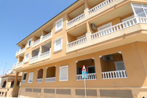 Dzīvoklis Algorfa, Alicante, Spānijā 1 istaba, 45 m2 Nr. 183743