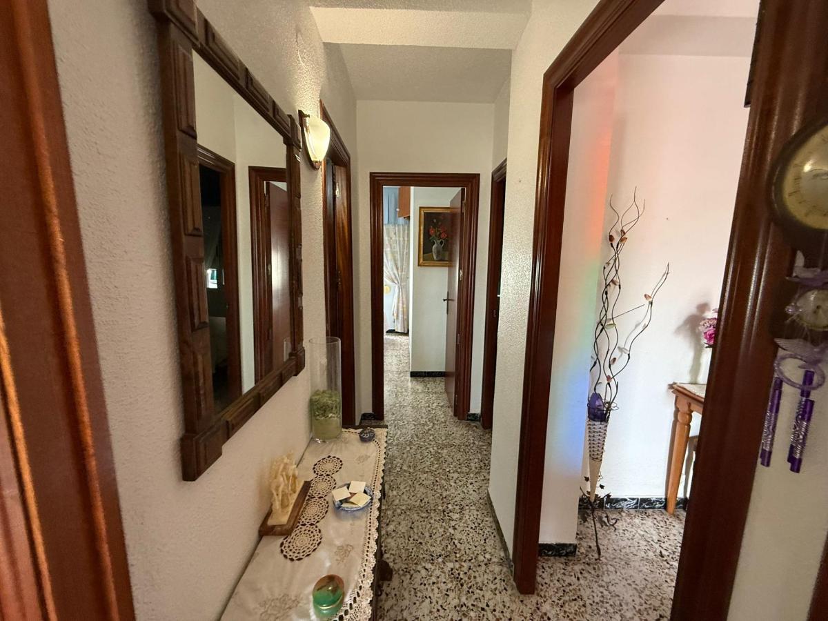 Apartment in Guardamar del Segura, Alicante, Spain 3 bedrooms, 77 sq.m. No. 183744
